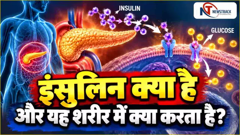 What Is Insulin Resistance | Insulin Resistance Cause | Health Newstrack | Latest Hindi News What Is Insulin Resistance | Insulin Resistance Cause | Health Newstrack | Latest Hindi News