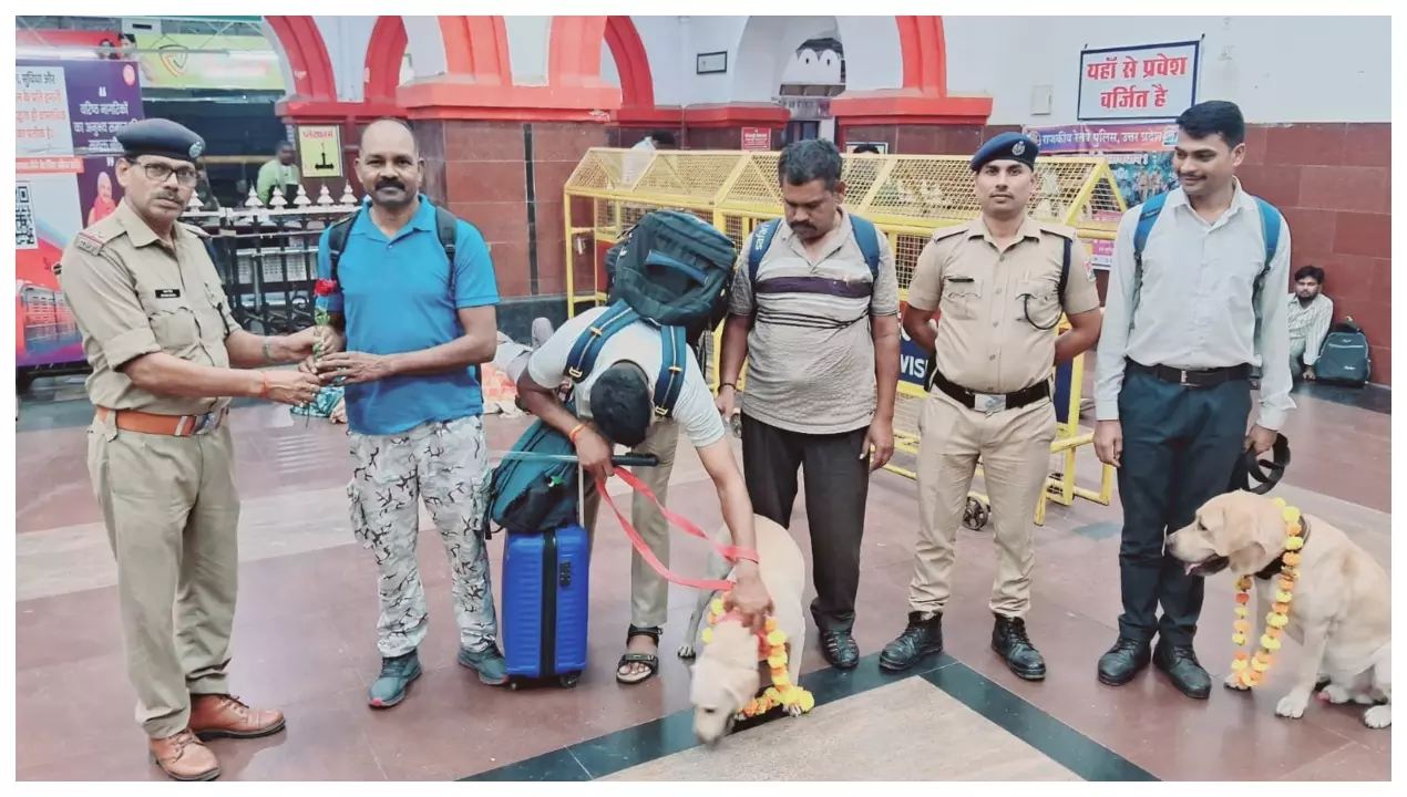 19वीं अखिल भारतीय RPF डॉग ड्यूटी मीट–2026 के प्रतिभागी श्वानों का वीरांगना लक्ष्मीबाई झाँसी रेलवे स्
