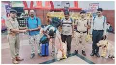 19वीं अखिल भारतीय RPF डॉग ड्यूटी मीट–2026 के प्रतिभागी श्वानों का वीरांगना लक्ष्मीबाई झाँसी रेलवे स्