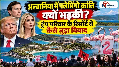 Albania Protests Albania Flamingo Revolution | Jared Kushner Resort | Newstrack Hindi Albania Protests Albania Flamingo Revolution | Jared Kushner Resort | Newstrack Hindi