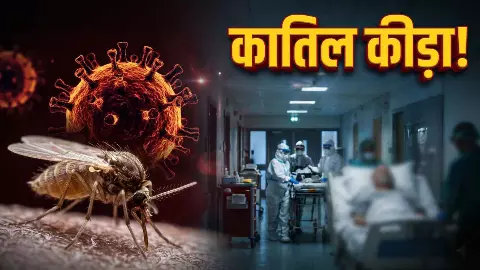 कातिल कीड़ा! कितना खतरनाक है शमोंडा वायरस? पहले मरीज की दर्दनाक मौत से टेंशन