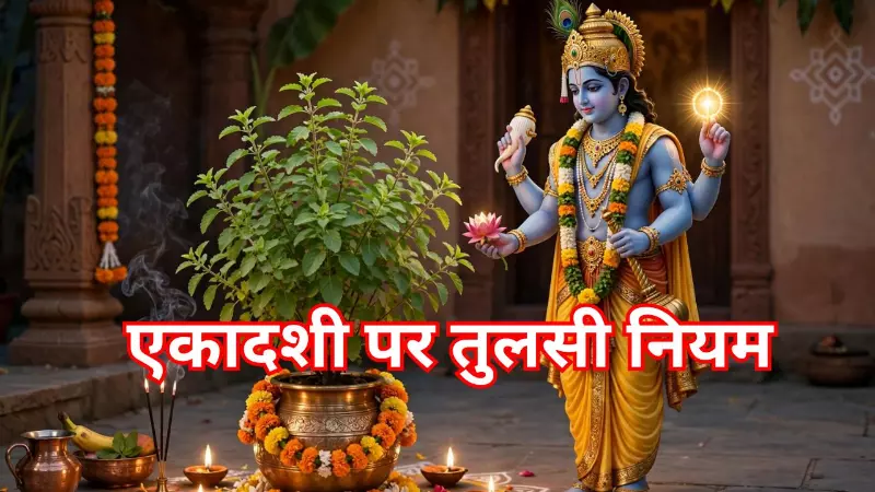 एकादशी (Ekadashi ) पर तुलसी से जुड़े इन नियमों को जानना जरूरी, पूजा से पहले पढ़ लें ये बात एकादशी (Ekadashi ) पर तुलसी से जुड़े इन नियमों को जानना जरूरी, पूजा से पहले पढ़ लें ये बात