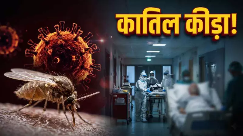 कातिल कीड़ा! कितना खतरनाक है शमोंडा वायरस? पहले मरीज की दर्दनाक मौत से टेंशन