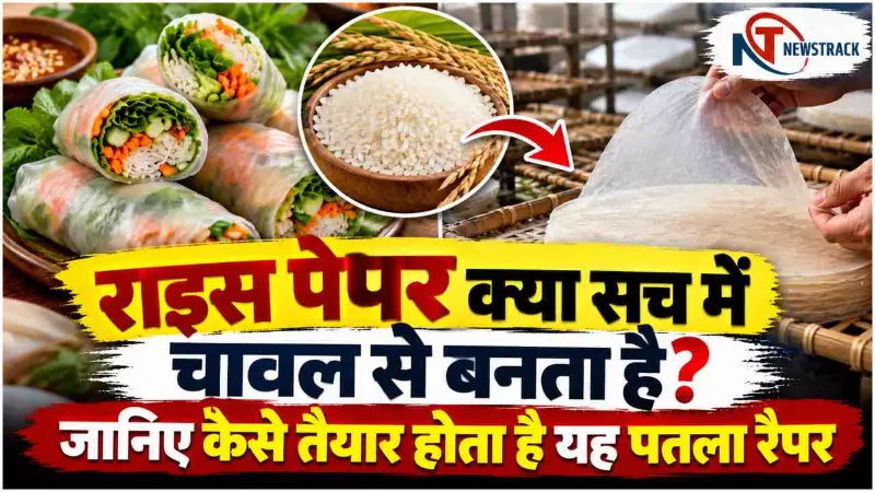 Rice Paper Kya Hota Hai | Chawal Se Kaise Banta Hai Rice Paper | Newstrack Hindi News