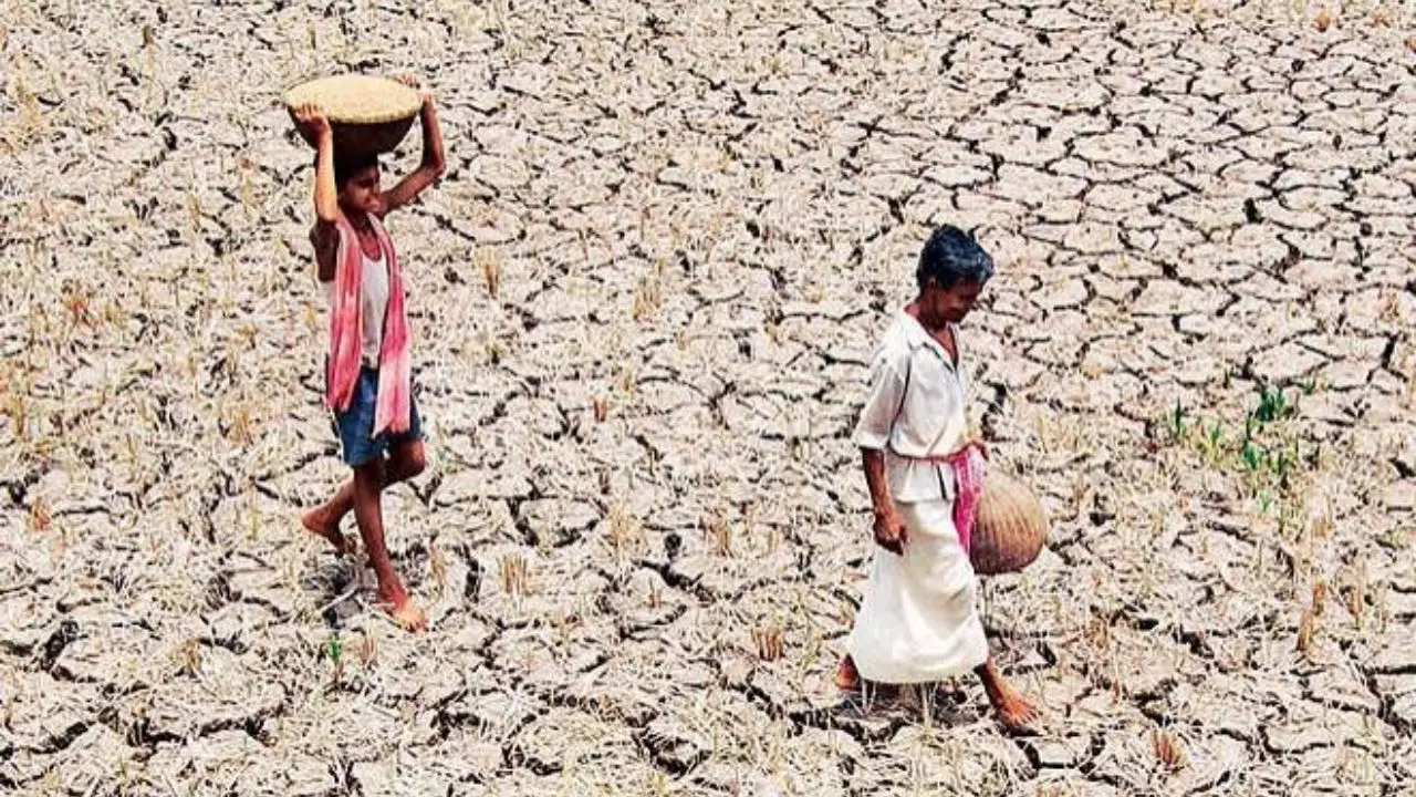 Gujarat Drought Gujarat Drought