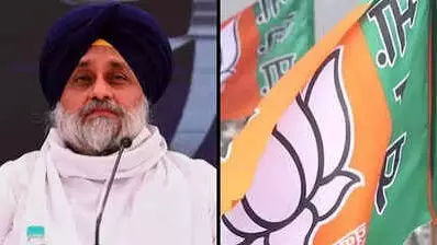 Punjab Politics: अकाली दल से गठबंधन पर BJP की हिचकिचाहट क्यों? 2027 से पहले बड़ा सियासी दांव