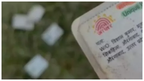 कानपुर देहात में बड़ा खुलासा: नहर किनारे बिखरे मिले 100 से ज्यादा आधार कार्ड, वीडियो वायरल होने पर मचा हड़कंप कानपुर देहात में बड़ा खुलासा: नहर किनारे बिखरे मिले 100 से ज्यादा आधार कार्ड, वीडियो वायरल होने पर मचा हड़कंप