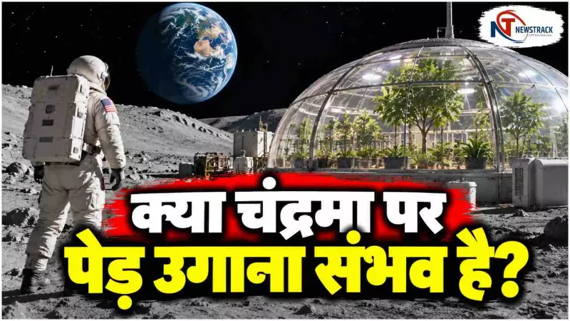 Chandrama Per Ped Nikal Sakte Hai | Can Trees Grow on Mars | Can Trees Grow on the Moon | Newstrack Chandrama Per Ped Nikal Sakte Hai | Can Trees Grow on Mars | Can Trees Grow on the Moon | Newstrack