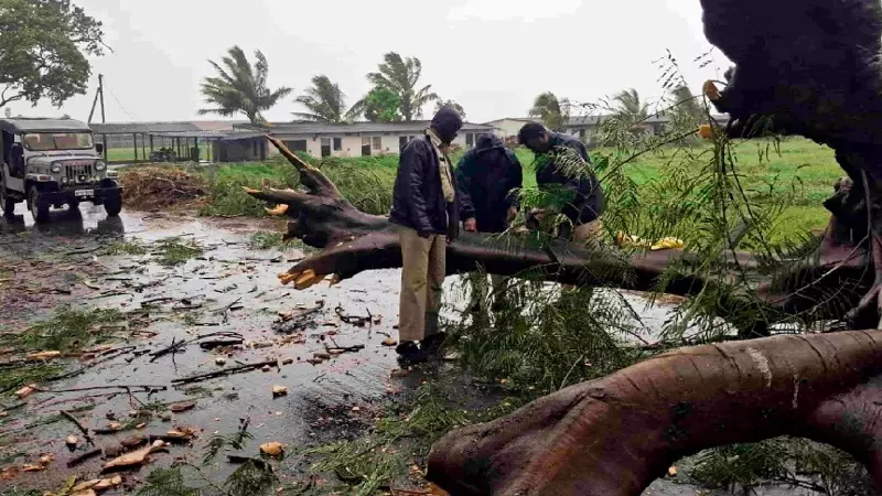 Cyclone Arnab: आंध्र प्रदेश में तूफान से अब तक 5 लोगों की मौत, UP-MP और बिहार में भी बदला मौसम Cyclone Arnab: आंध्र प्रदेश में तूफान से अब तक 5 लोगों की मौत, UP-MP और बिहार में भी बदला मौसम
