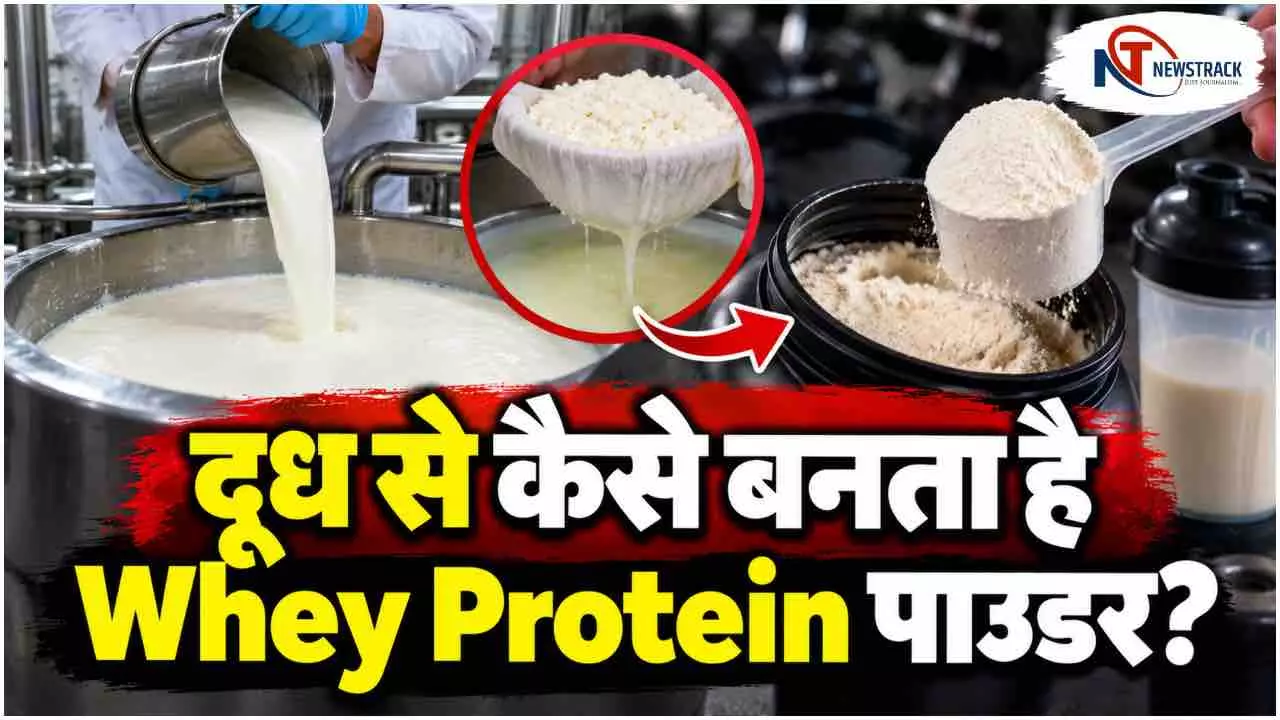 Whey Protein Benefits | Whey Protein Side Effects |Whey Protein कैसे बनता है | Newstrack Hindi News
