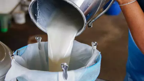 Milk Price Hike: 8 रुपये महंगा हुआ दूध, इस राज्य में 1 नवंबर से लागू होंगी नई दरें