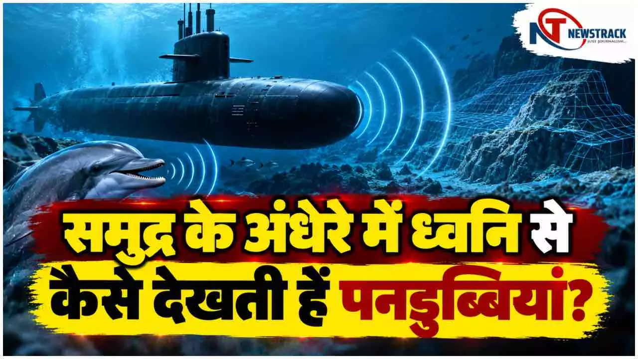 Sonar Technology | What Is Sonar | Underwater Sound Technology | Newstrack Hindi News Sonar Technology | What Is Sonar | Underwater Sound Technology | Newstrack Hindi News