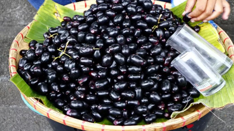 Where To Get Jamun Fruit In Usa jamun blackberry is becoming increasingly popular in the fruit markets
