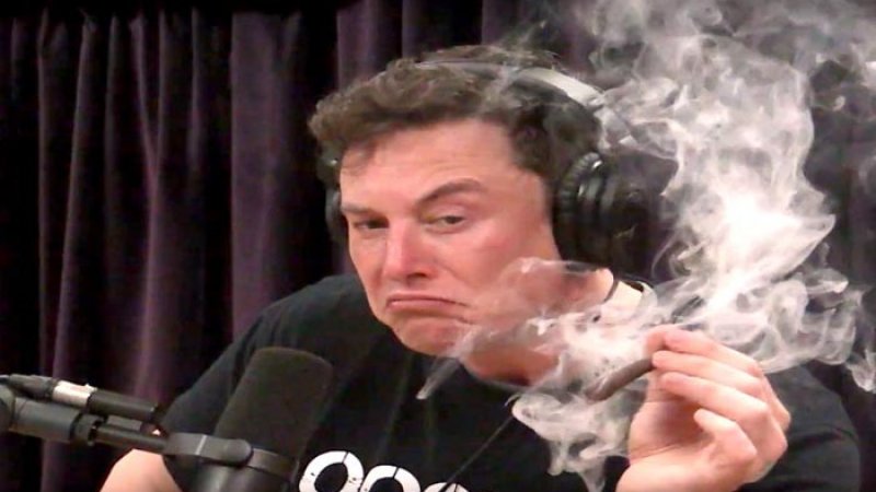 after smoking marijuana elon musk rejigs top tesla management : newstrack