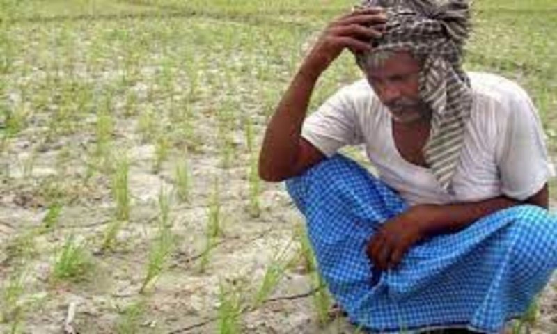Auraiya Flood News: किसानों को सताने लगी आगामी फसलों को बोने की चिंता, जानिए क्या है कारण