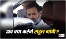 Rahul Gandhi: राहुल गांधी के पास अब क्या हैं विकल्प,जानिए 2024 और 2029 का लोकसभा चुनाव लड़ पाएंगे या नहीं ?