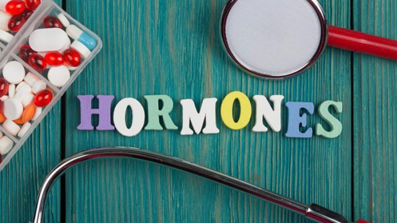 hormones-not-affect-girls-gender-identity-study-newstrack