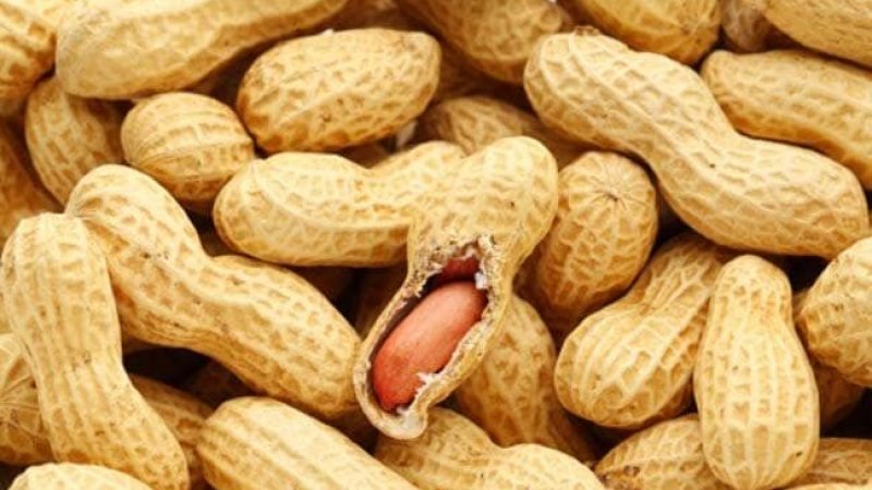 Peanuts And Weight Gain Does Eating Peanuts Increase Weight Latest News 