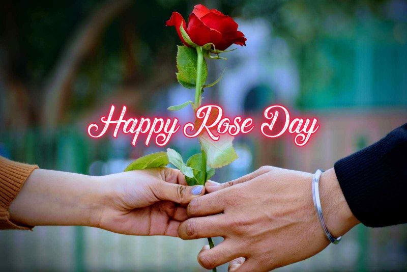 Happy Rose Day 2023: रोज़ डे के अवसर पर अपने प्रियजनों को भेजने के लिए शुभकामनाएं और संदेश