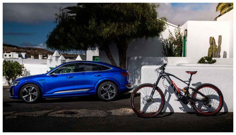 Audi electric bike: भारत में गई 8 लाख रुपये वाली ई-साइकिल, जानिए क्या है इसमें खास?