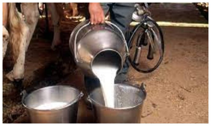 Milk Supply in India: दूध की सप्लाई घटी, क्या होगा गर्मियों में