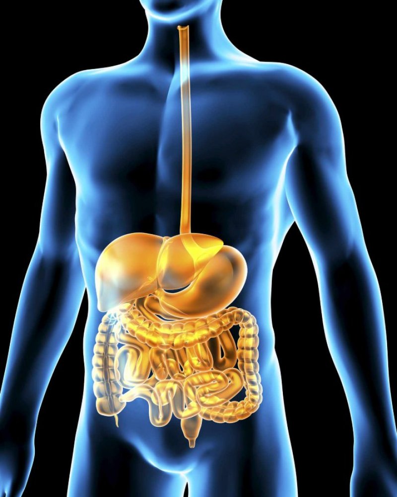 Digestion Process: पाचन प्रक्रिया के फायदे और नुकसान
