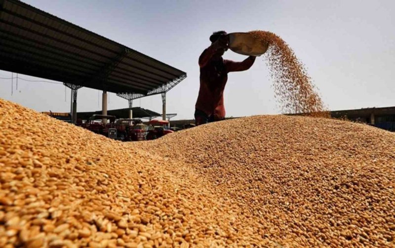 Wheat & Atta Prices: न हों परेशान, महंगाई से जल्द मिलेगी राहत ! FCI के इस कदम से 8 रुपए सस्ता हुआ गेहूं