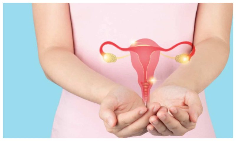 Ovarian Cancer Symptoms: इन लक्षणों को नहीं करना चाहिए इग्नोर, हो सकता है ओवेरियन कैंसर