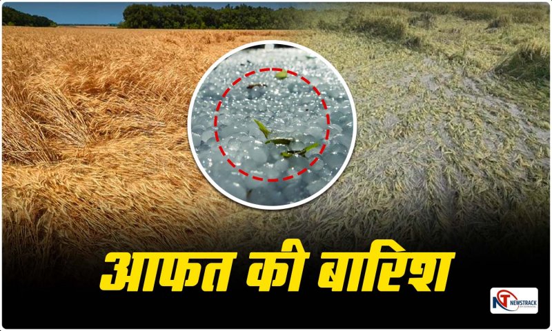 UP me Barish: बारिश से फसलें चौपट, किसान परेशान, राहत आयुक्त ने मांगी रिपोर्ट, सीएम बोले- तुरंत मिले मुआवजा