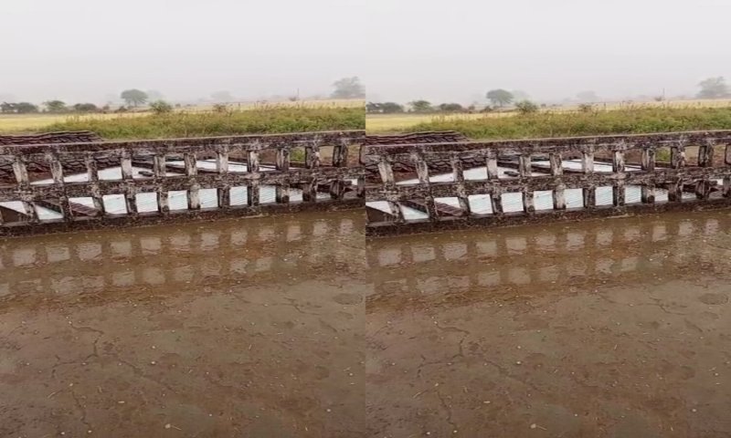 Hamirpur News: आसमान से बरसी आफत, फसलों को भारी नुकसान, प्रशासन देगा मुआवजा