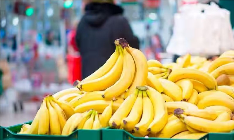 Banana Price Hike: केला हुआ बीमार, नवरात्रि में दाम 100 के पार, आखिर क्यों भुसावल में कम हुआ कारोबार