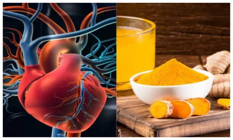 Food for Blood Vessels: धमनियों को मजबूत करने के लिए इन खाद्य पदार्थों को अपने आहार में करें शामिल