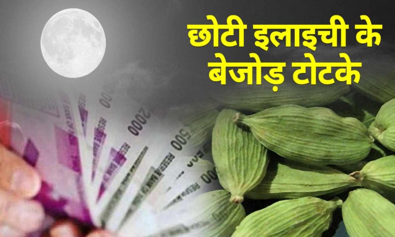 Elaichi Ke Totke For Money: छोटी इलायची के इन टोटकों से खुल जाएगी आपकी किस्मत, होगी धन वर्षा