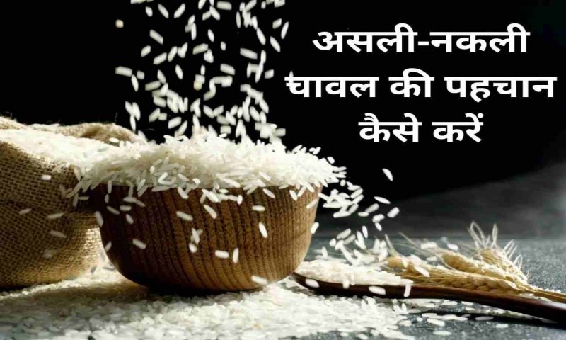 Plastic Rice vs Real Rice: कहीं नकली चावल तो नहीं खा रहे आप, हो जायें सावधान, ऐसे करिये इसकी परख और यहां सही जानकारी