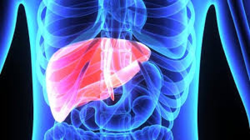 Fatty Liver Disease: फैटी लिवर में शरीर के इन 3 भागों में होता है दर्द महसूस