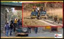 Jim Corbett National Park Tourism:  जंगल सफारी के लिए बेस्ट है जिम कॉर्बेट नेशनल पार्क, जहां से कई चीजों का ले सकते हैं आनंद