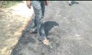 Hardoi News: चप्पल की रगड़ से उखड़ रही सड़क, सोशल मीडिया पर वीडियो हुआ वायरल!