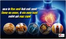 World Liver Day 2023: आज के दिन जानें कैसे रखें अपने जिगर का ख्याल, ये पांच खाद्य पदार्थ रखेंगे इसे राइट टाइम