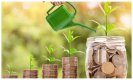 Small Finance Bank FD Rate: फटाफट करें इन छह स्मॉल फाइनेंस बैंक में निवेश, पाएं 9 फीसदी से अधिक ब्याज