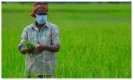 Farmer in India: खेत-किसान और कारपोरेट