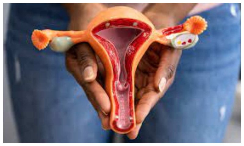 Ovarian Cancer Symptoms: इन संकेतों से पहचाने ओवेरियन कैंसर को, ये लक्षण दिखने पर तुरंत मिले डॉक्टर से