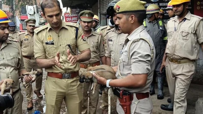 Kanpur News: कुछ हुआ ऐसा जिसे देख पुलिस भी हो गई भावुक... अग्निकांड की एक घटना आपको भी कर देगी गमगीन