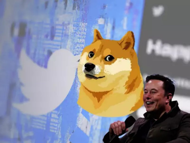 Twitter से चिड़िया हुई फुर्र आ गया कुत्ता ! Elon Musk ने बदल दिया ट्विटर का लोगो...Meme की आ गई बाढ़