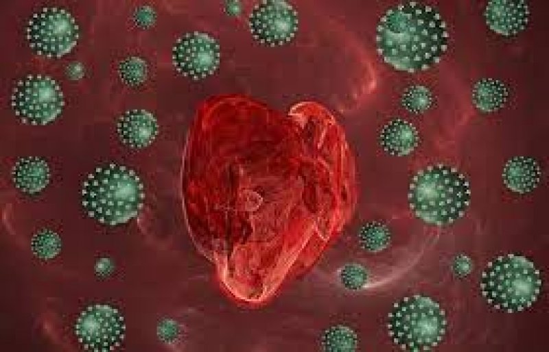 Coronavirus and Heart: क्या दिल के दौरे का COVID-19 से है सीधा संबंध , जानिये स्वास्थ्य मंत्रालय क्यों जांच के लिए हैं