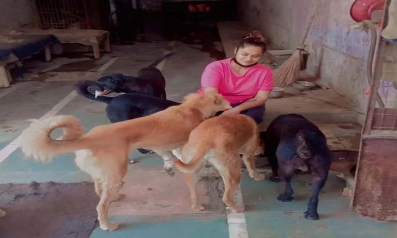 Agra News: आगरा के कारोबारी की कोठी में रहते हैं गली के 16 कुत्ते, दिलचस्प है पूरी कहानी