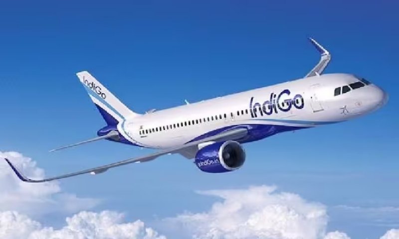 Indigo Flight: उड़ते विमान में नशे में धुत यात्री का ड्रामा, इमरजेंसी गेट खोलने की करने लगा कोशिश