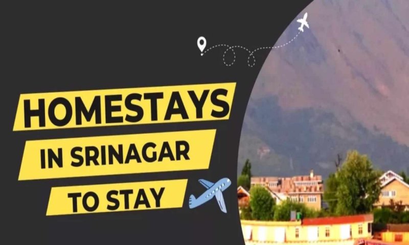 Book Homestays in Srinagar: गर्मी की छुट्टियों को कर रहें हैं प्लान, बुक करिये श्रीनगर में ये 5 होमस्टे