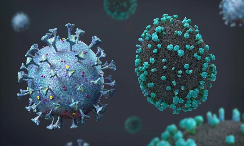 Corona and H3N2: कोरोना और फ्लू का एक साथ संक्रमण, जीनोम निगरानी पर जोर