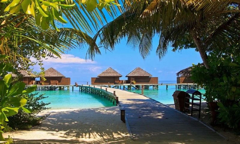 BEST Budget Hotels in Maldives: मालदीव में ठहरने के लिए नहीं खर्च करने होंगे लाखों रुपये, अब सस्ते में पूरी होगी ट्रिप