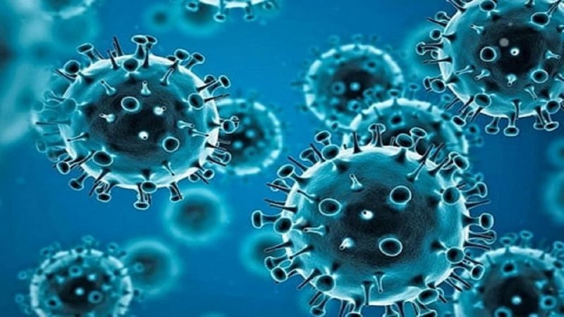 Coronavirus Update: जानलेवा हो रहा कोरोना! छह महीने में पहली बार एक दिन में संक्रमण से 21 की मौत